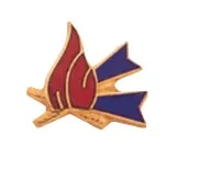 Blue Ribbon Award Pin