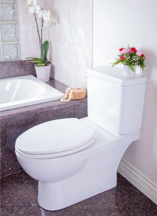 Caroma Caravelle Smart 2-Piece (Lever) Dual-Flush Toilet