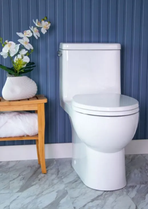 Caroma Caravelle Smart One Piece (Lever) Dual-Flush Toilet