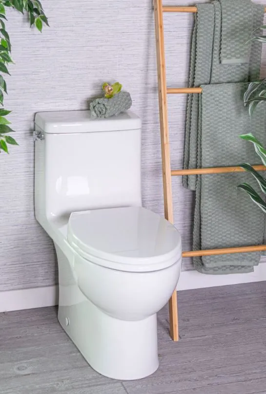 Caroma Caravelle Smart One Piece (Lever) Dual-Flush Toilet