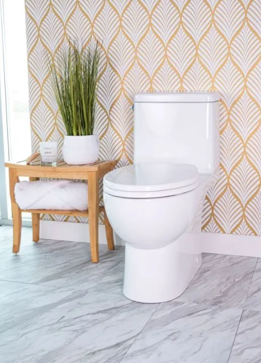 Caroma Caravelle Smart One Piece (Lever) Dual-Flush Toilet