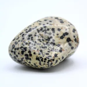 Dalmatian Jasper Free-Form