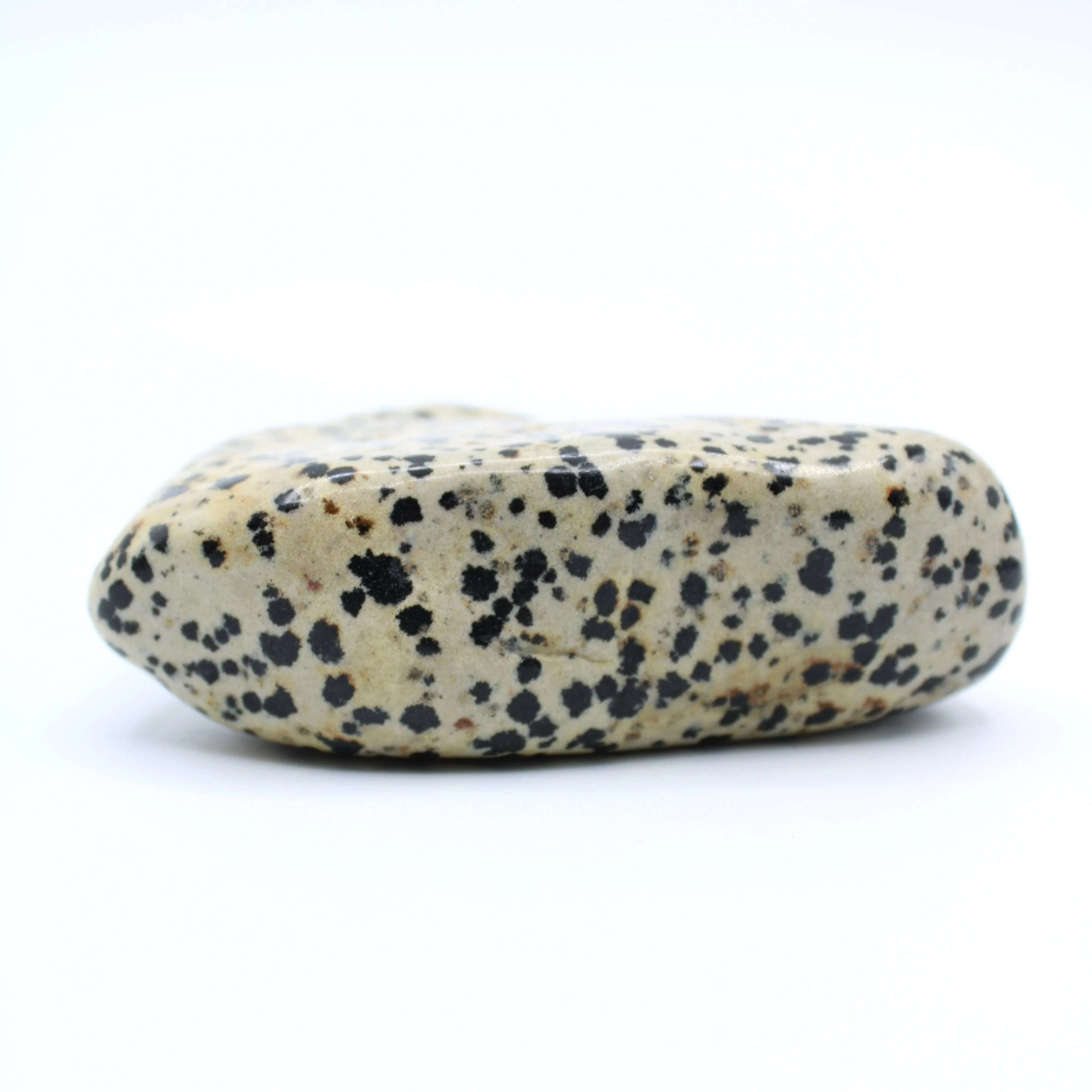 Dalmatian Jasper Free-Form