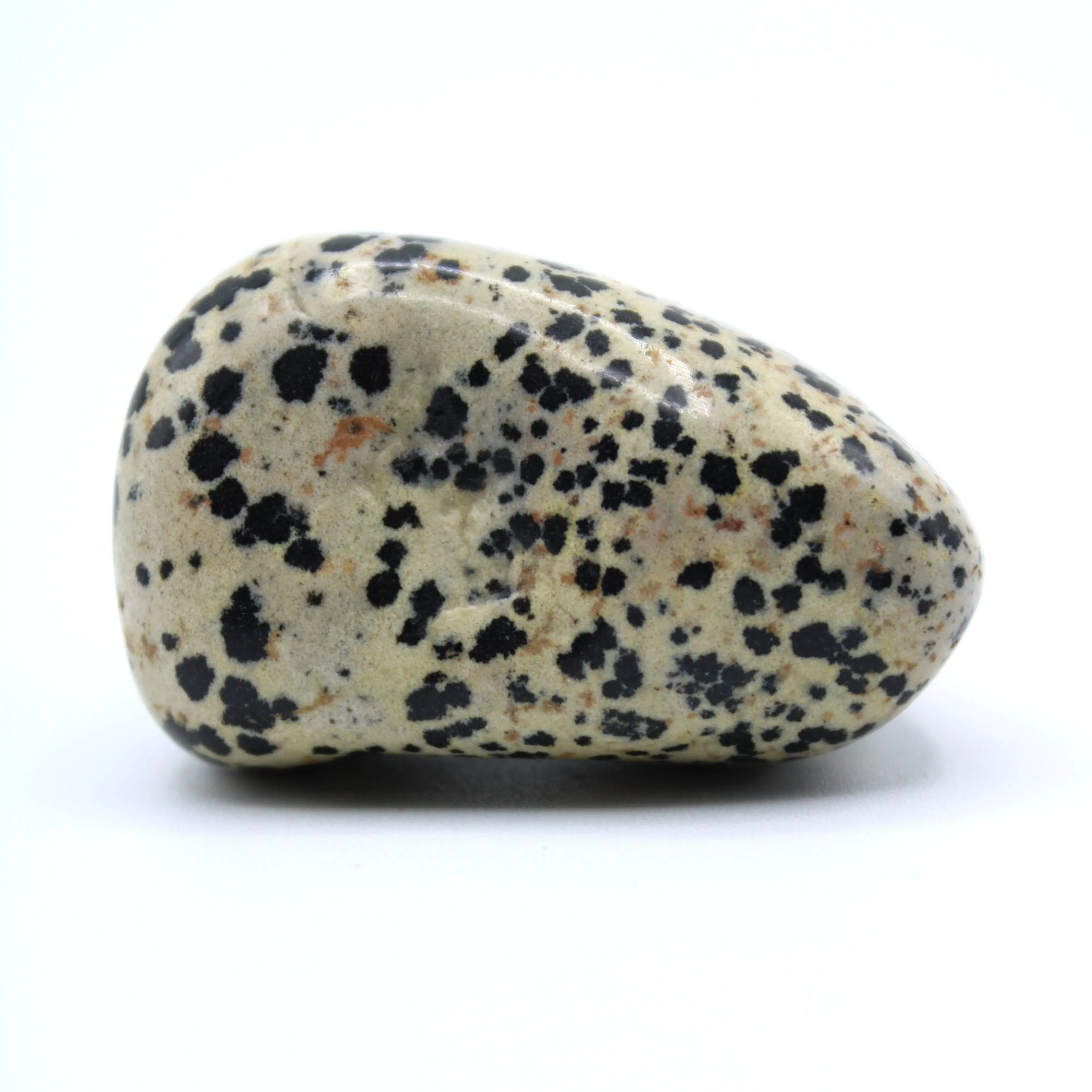 Dalmatian Jasper Free-Form