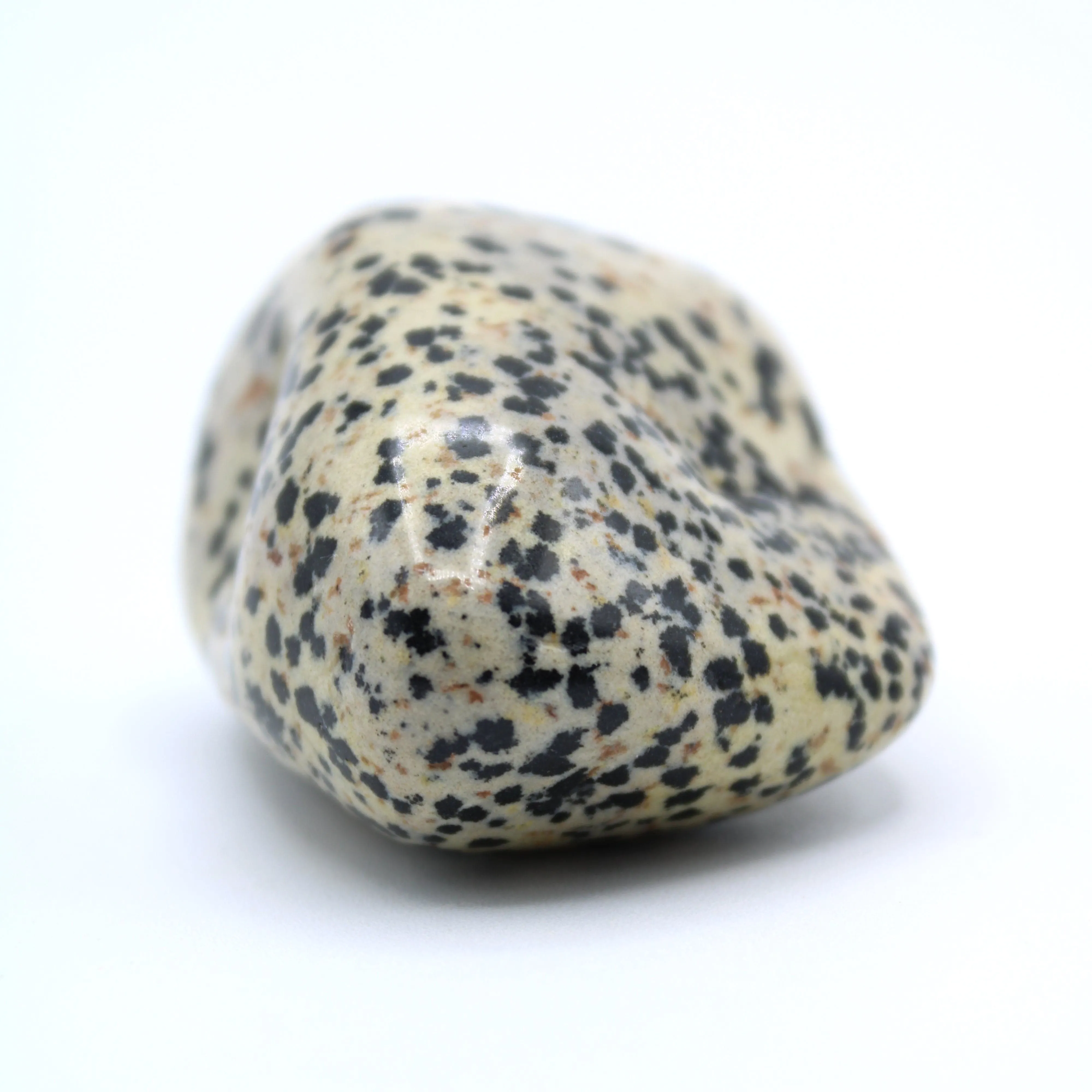 Dalmatian Jasper Free-Form