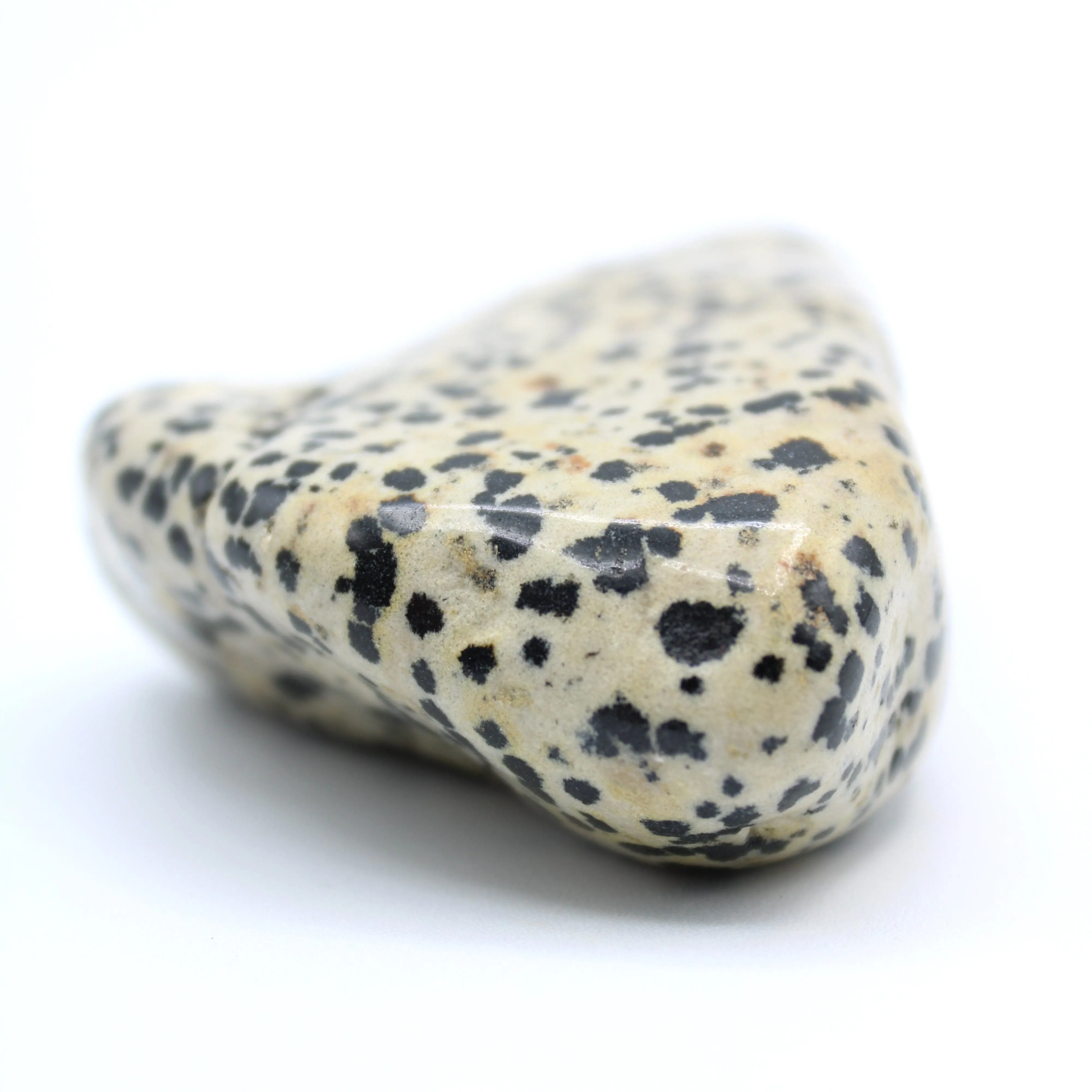 Dalmatian Jasper Free-Form