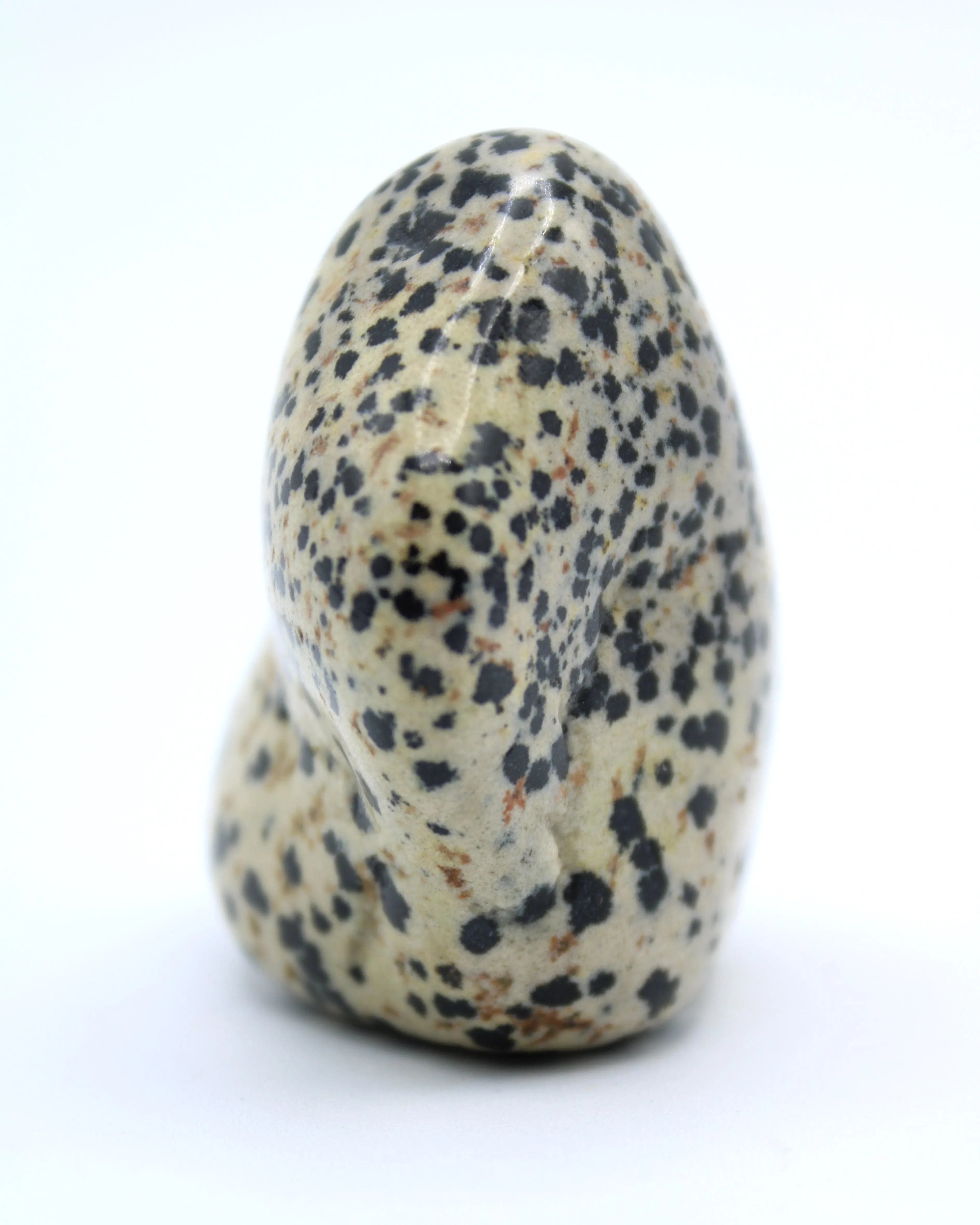 Dalmatian Jasper Free-Form