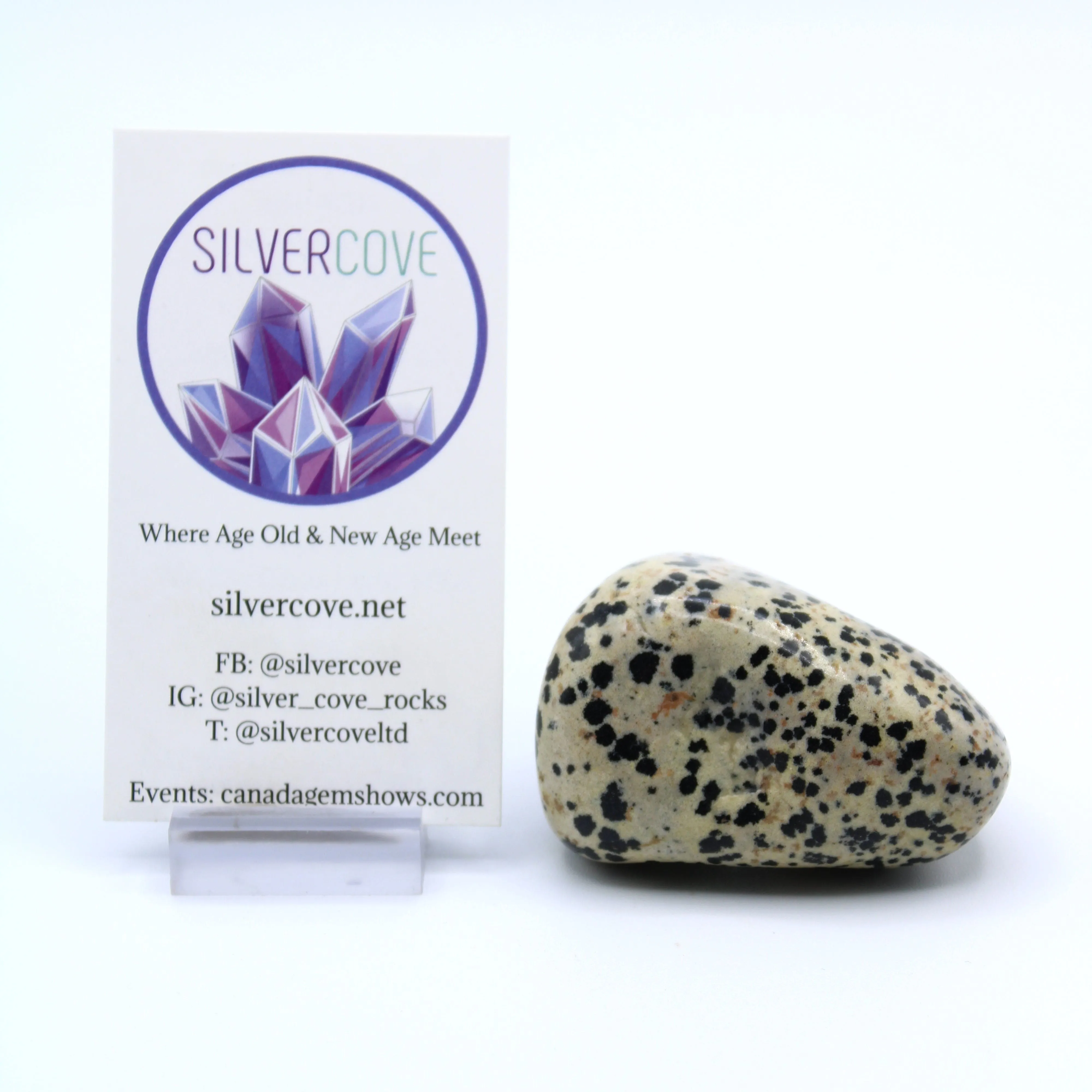 Dalmatian Jasper Free-Form