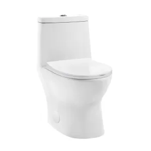 Ivy One-Piece Toilet, 10" Rough-in 1.1/1.6 gpf