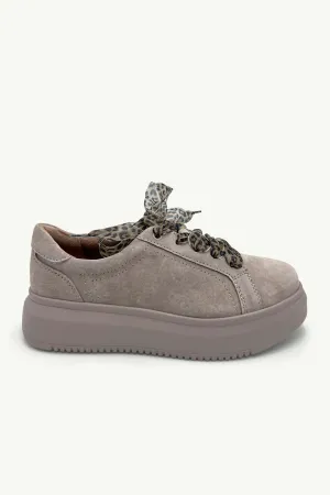 Lyra Taupe