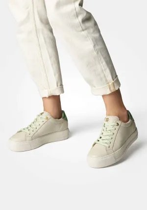 Paul Green 5241055- Trainer