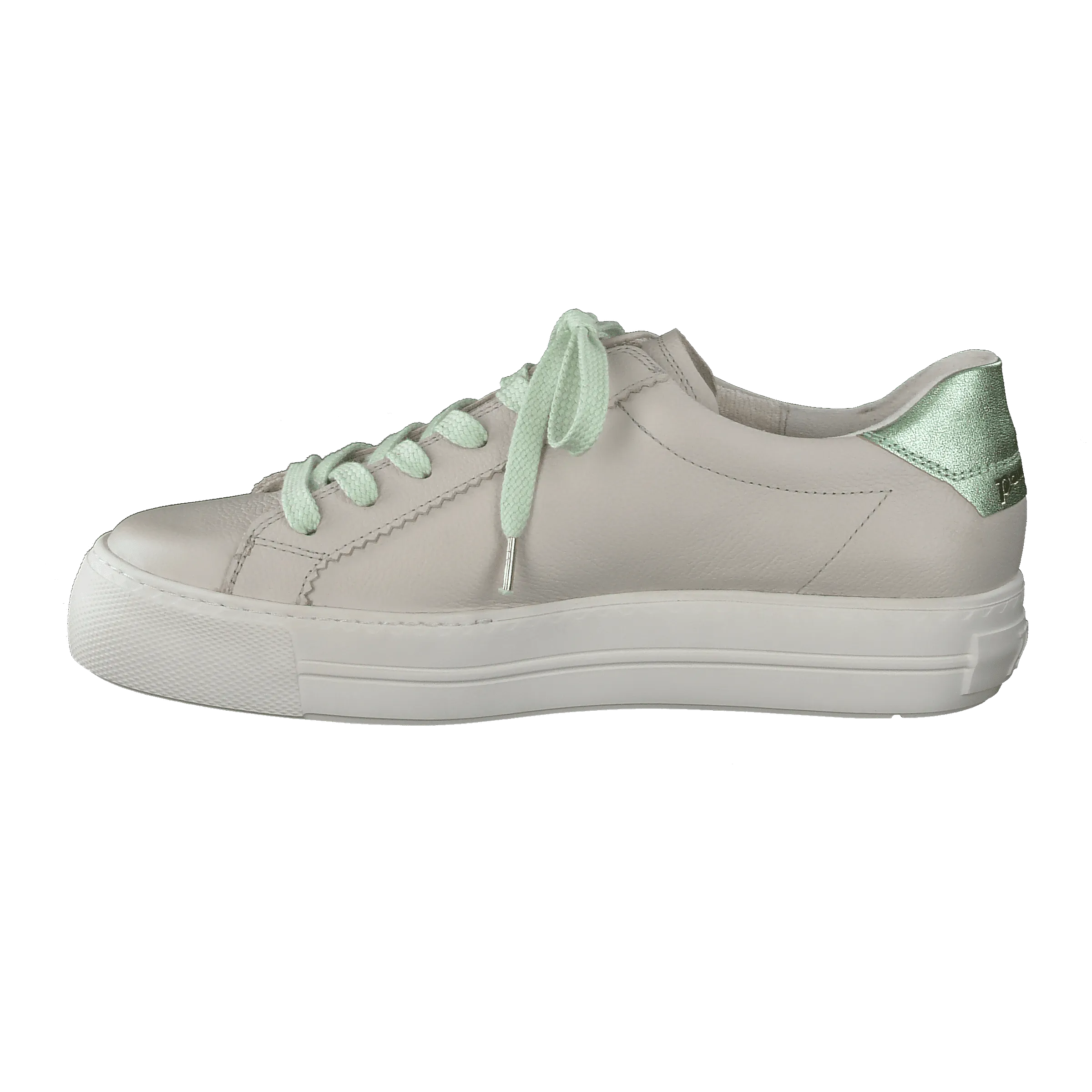 Paul Green 5241055- Trainer