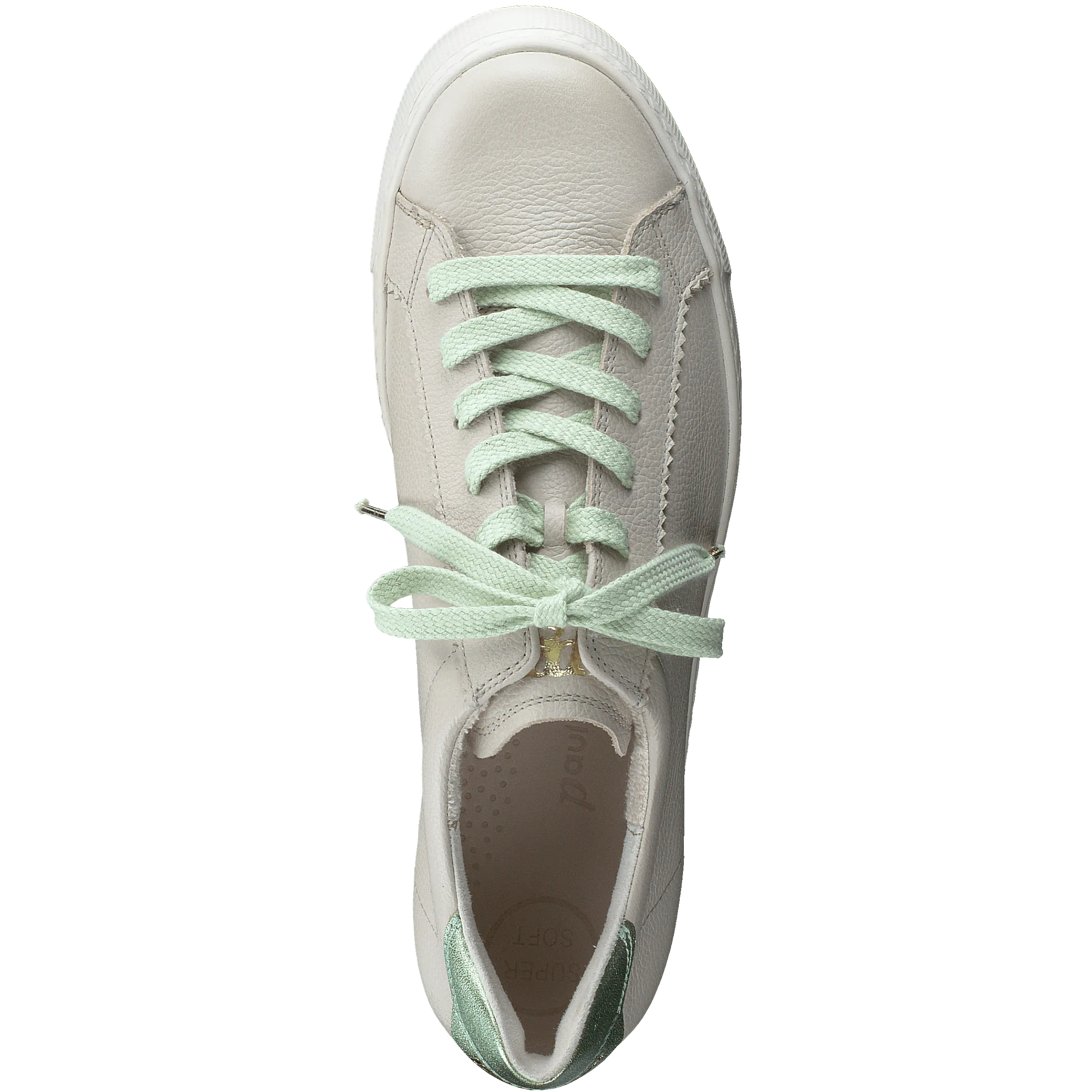 Paul Green 5241055- Trainer