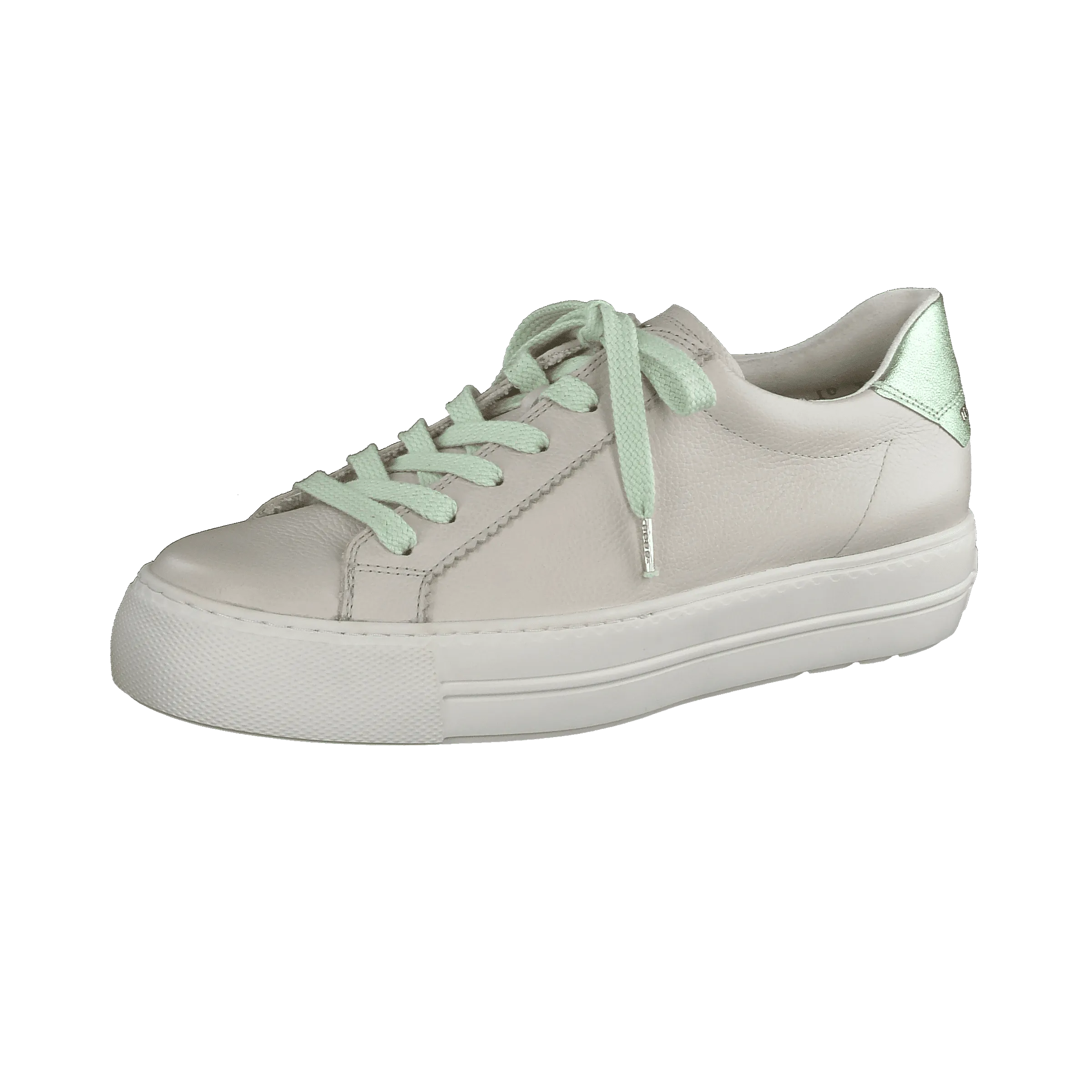 Paul Green 5241055- Trainer