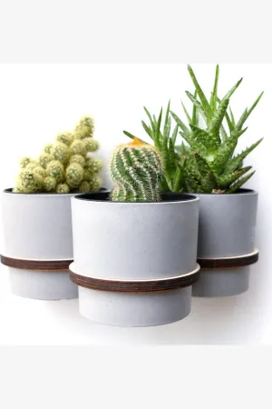 PLANT HANGER - TRIPLE