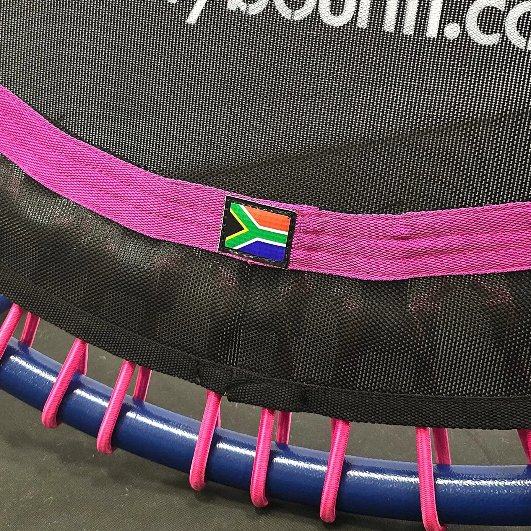 "Sea Urchin" Bungee Studio Deluxe (SA Made)