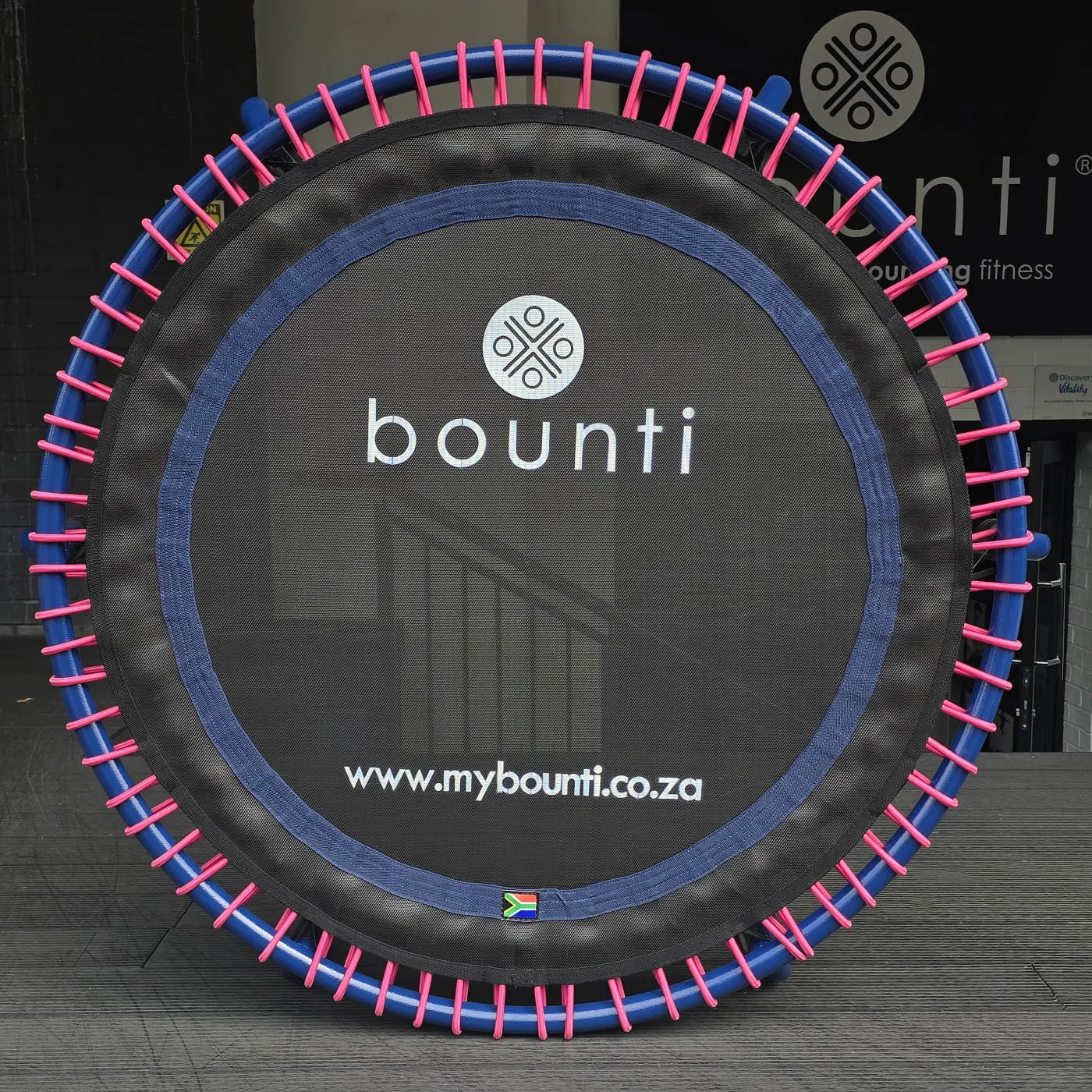 "Sea Urchin" Bungee Studio Deluxe (SA Made)
