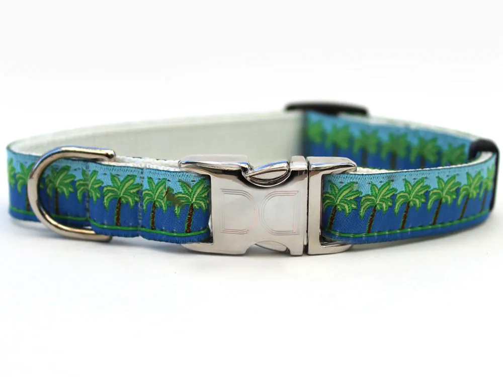 South Beach Blue Collar Silver Metal Buckles