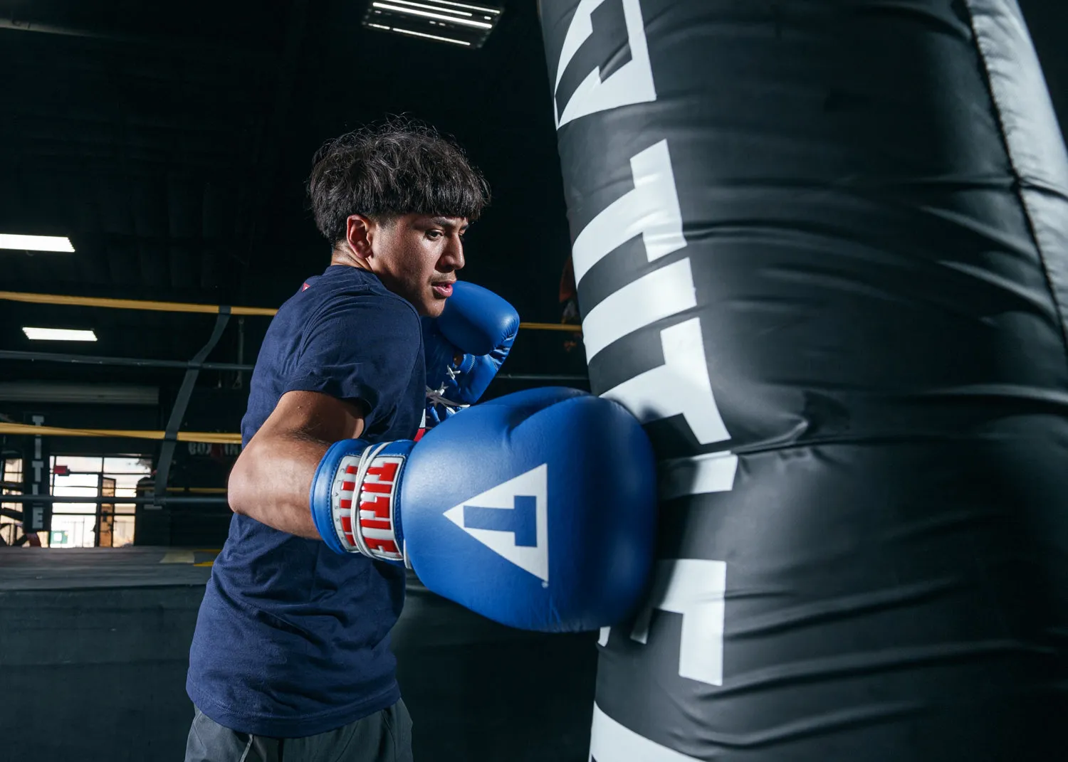 TITLE Classic Leather Lace Training Boxing Gloves 2.0