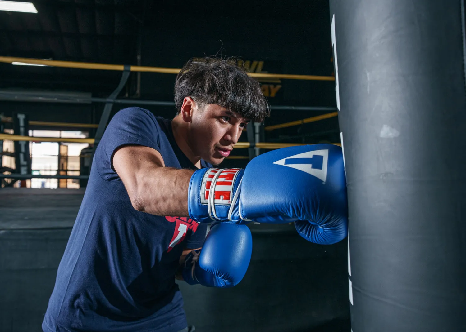 TITLE Classic Leather Lace Training Boxing Gloves 2.0