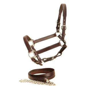 Tory Leather 1" Wide Bridle Leather Halter and Lead